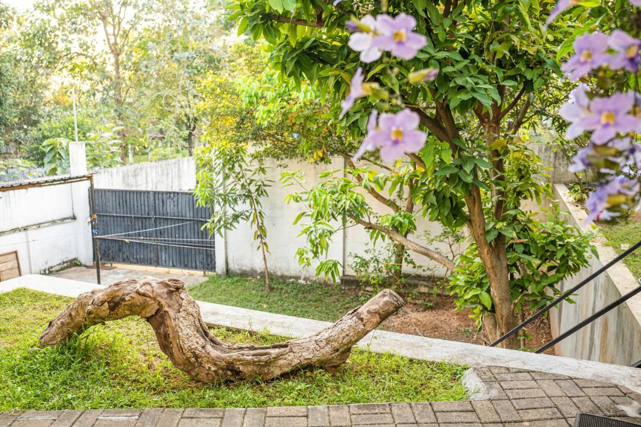 סרי ג'ייוורדנפורה קוטה Battaramulla Boutique Villa מראה חיצוני תמונה